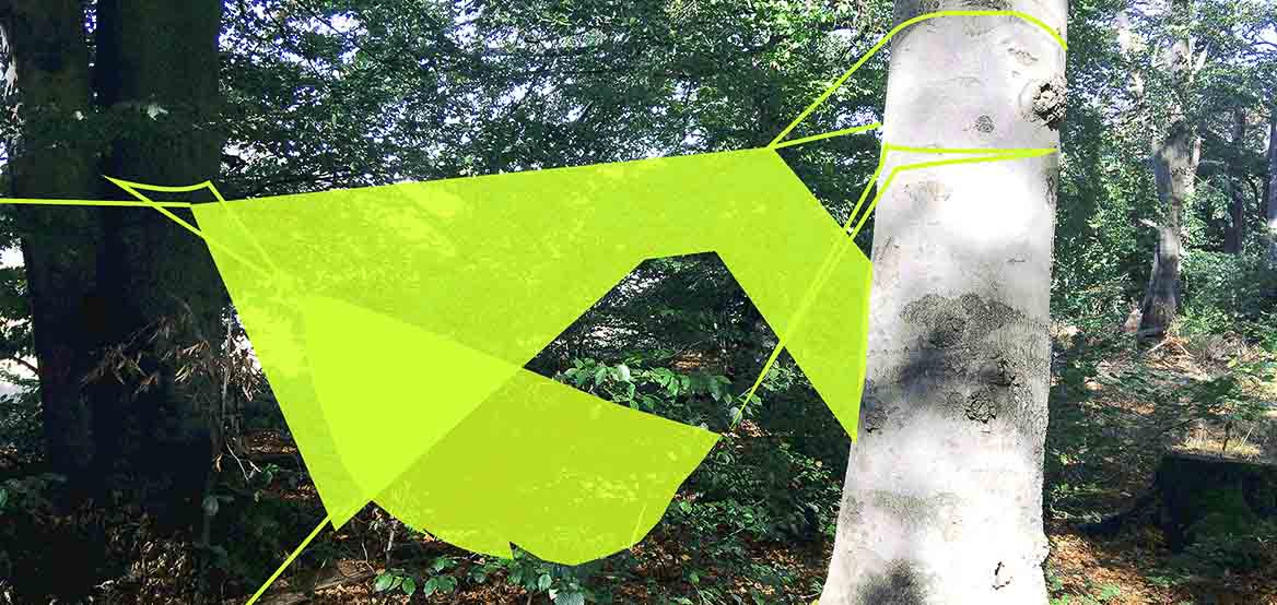 in the woods : idee : konzept : wording