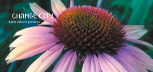 vielfalt-gewinnt.de : postkarten : konzept : umsetzung