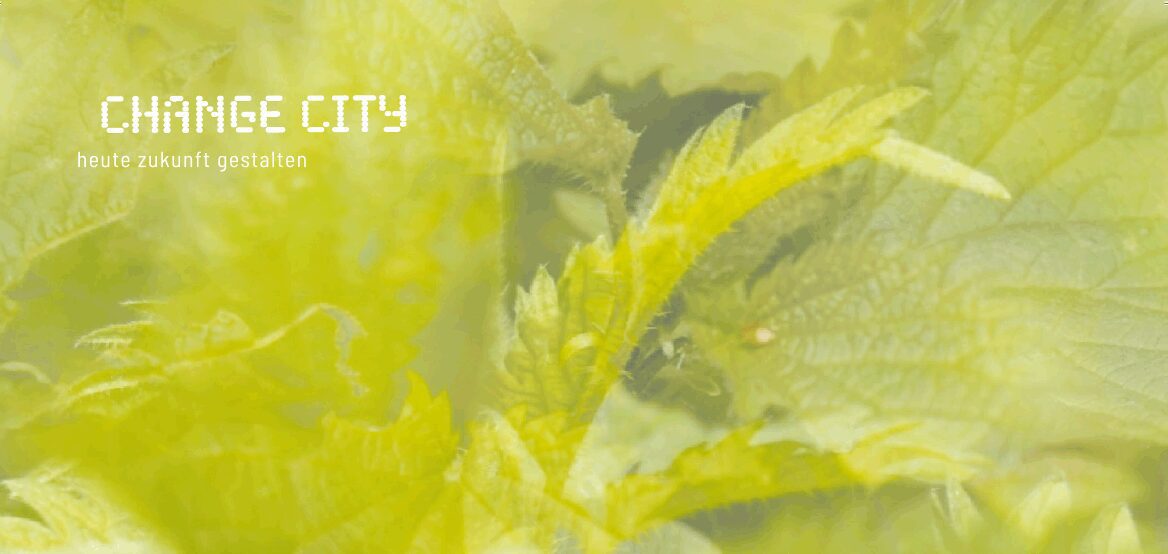 vielfalt-gewinnt.de : postkarten : konzept : umsetzung